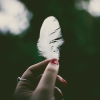 Wishing Rituals and Prompt Images (25)